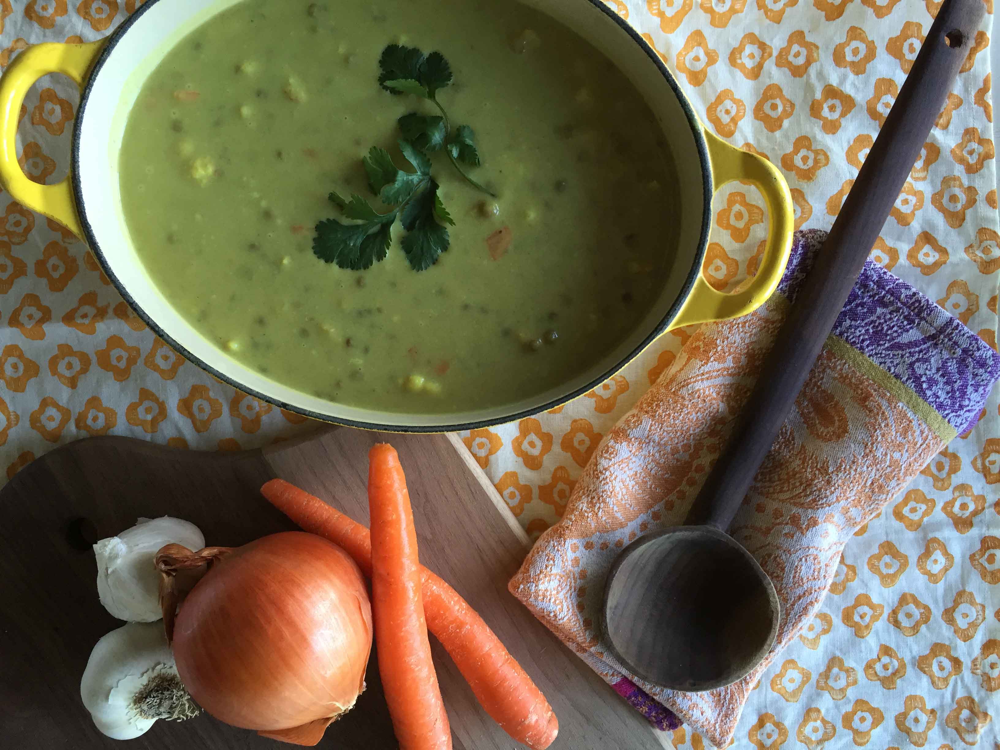 National Homemade Soup Day 2024 - Tova Ainsley